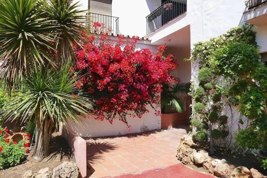 Caprichoso Apartamento En El Corazon De Puerto Banus Marbellac Extérieur photo